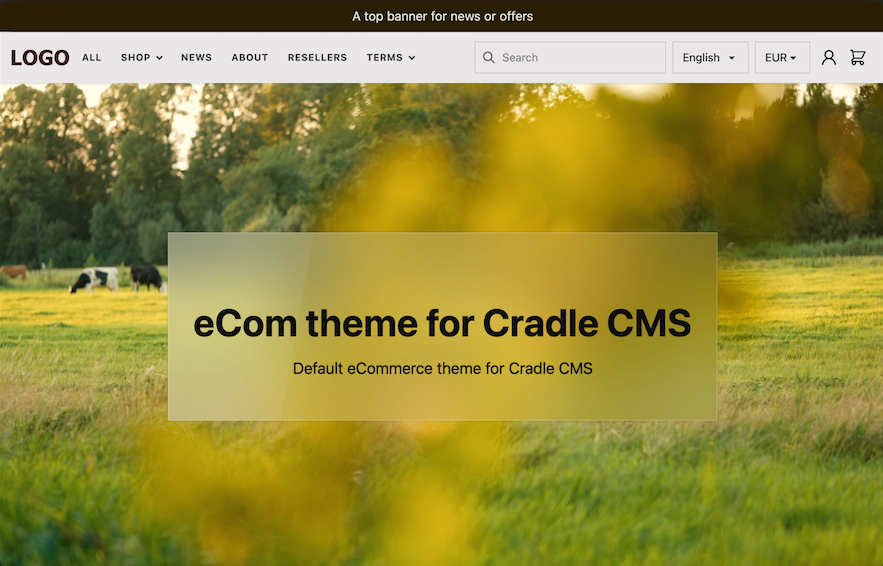 Hero section of the eCommerce theme with large background image