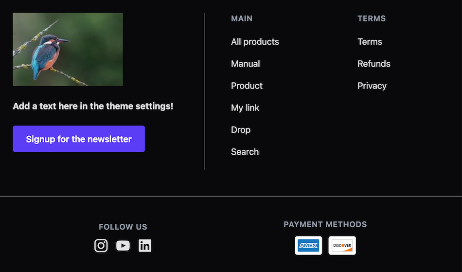 Footer in test theme