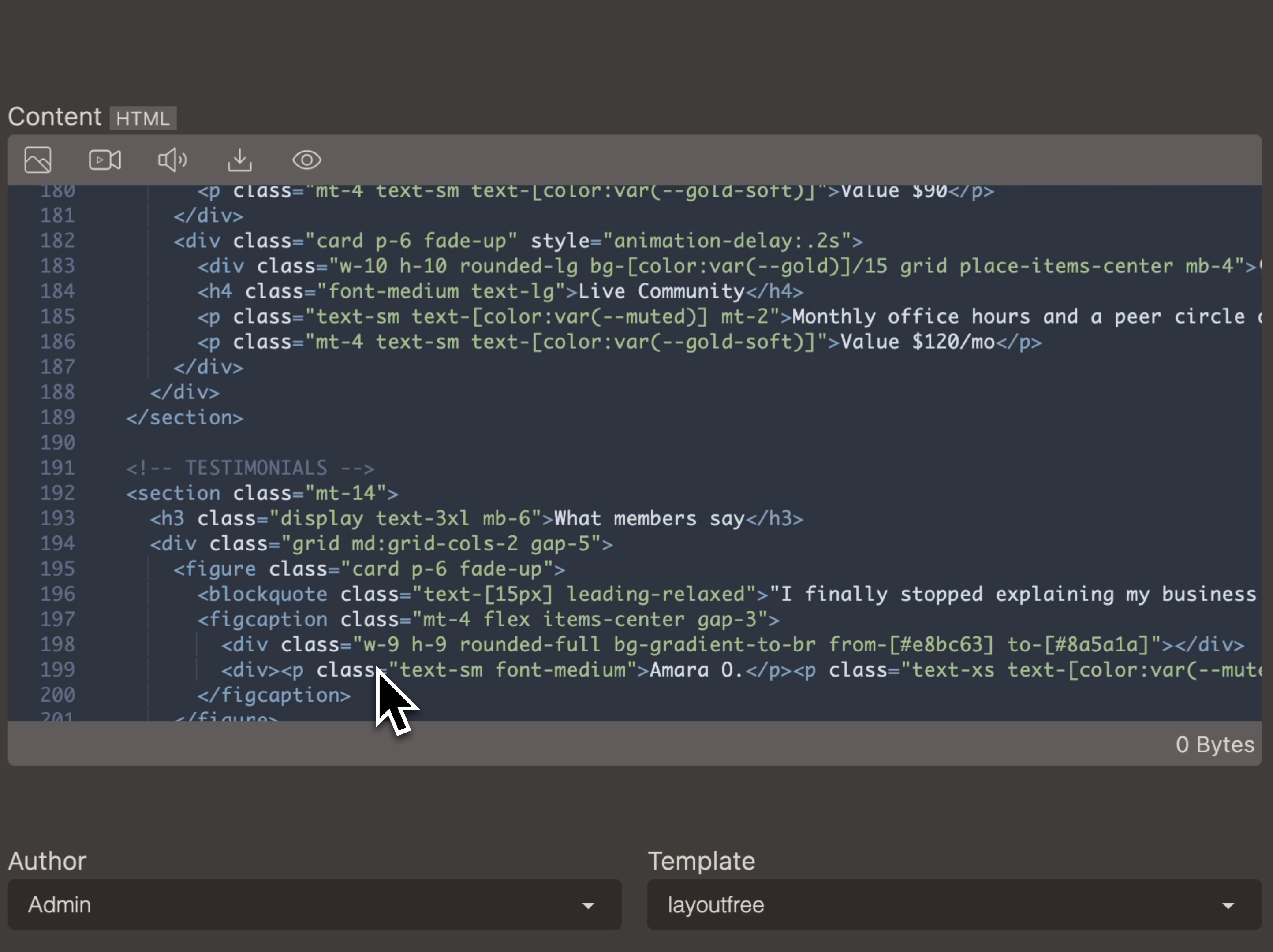 Code editor on a page